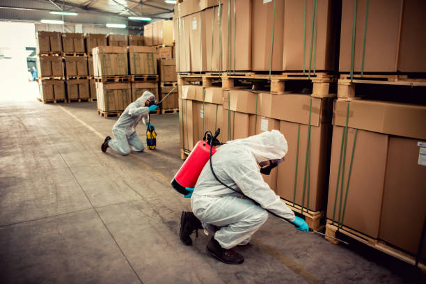 Best Emergency Pest Control  in Manhasset, NY