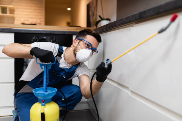 Best Exterminator Services  in Manhasset, NY