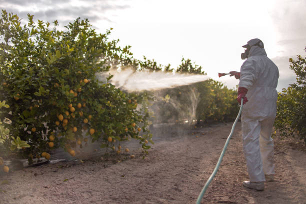 Best Pest Prevention Services  in Manhasset, NY