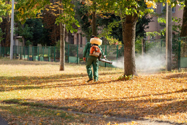 Best Mosquito Control Services  in Manhasset, NY
